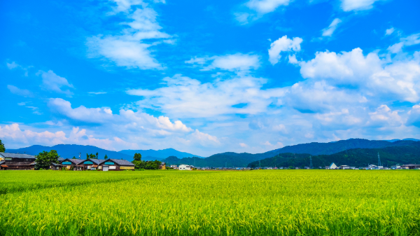 知っておくべき「農地のルール」